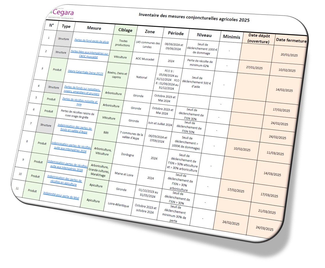 Tableau récapitulatif des mesures conjoncturelles 2025 
