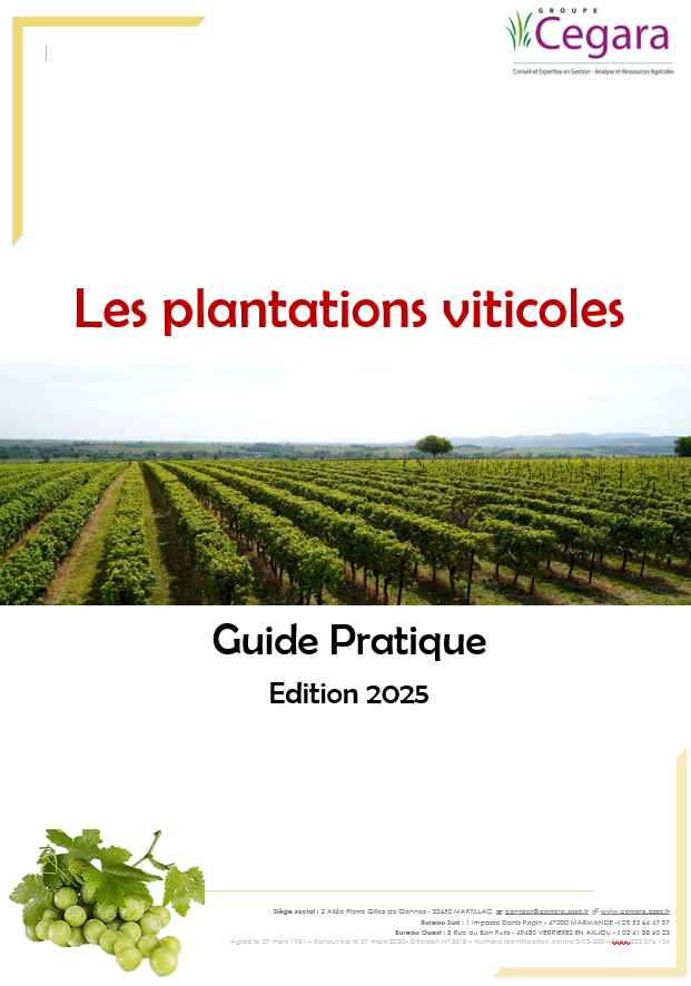 Plantations viticoles déc 2025